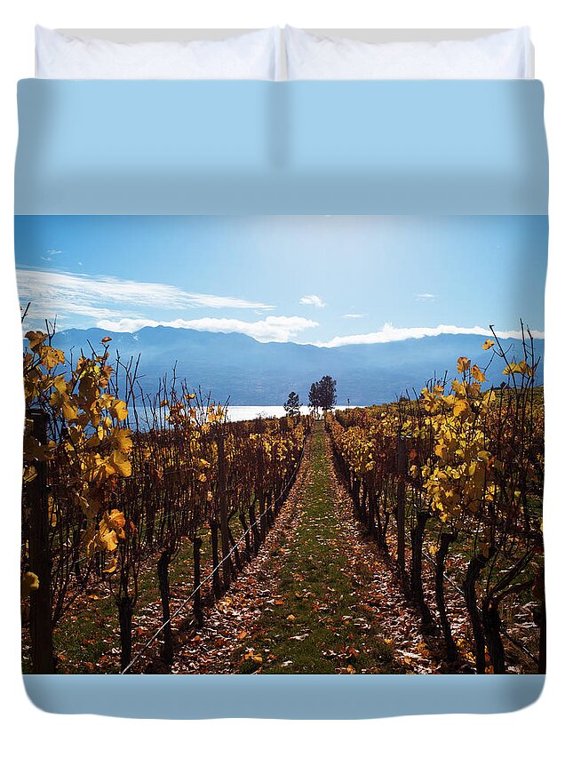 Kelowna Duvet Cover featuring the photograph Between the Vines by Allan Van Gasbeck