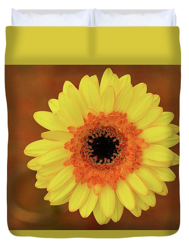 Gerbera Duvet Cover featuring the photograph Beyond the Vase by Vanessa Thomas