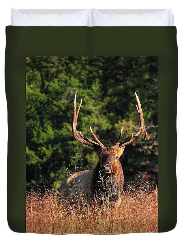 Big Bull Elk Duvet Cover featuring the photograph Big Bull Elk Up Close in Lost Valley by Michael Dougherty