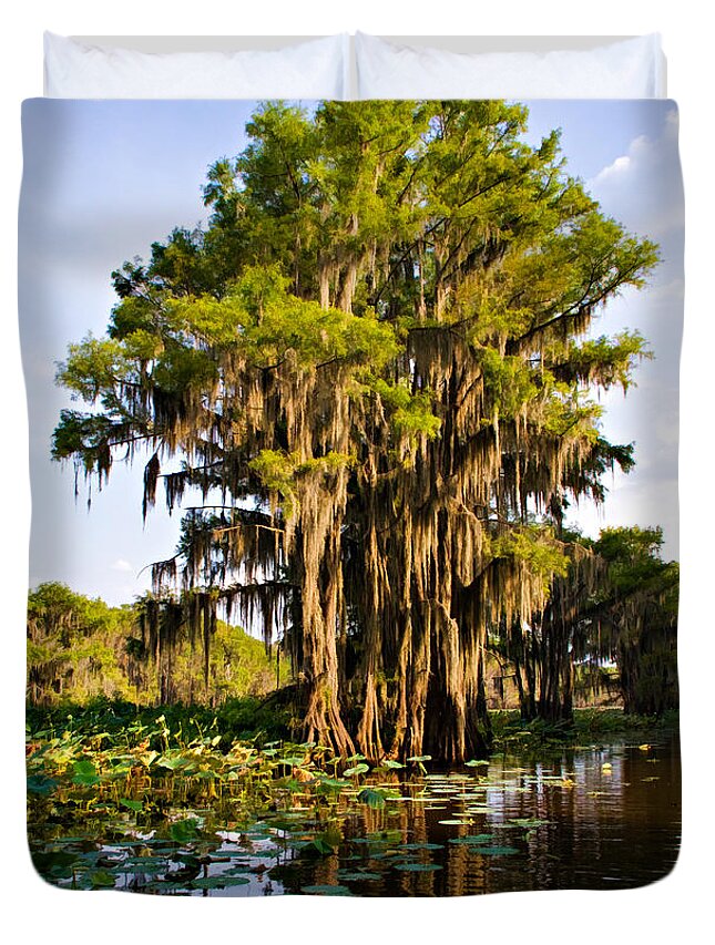Bayou Duvet Cover featuring the photograph Big Cypress by Lana Trussell