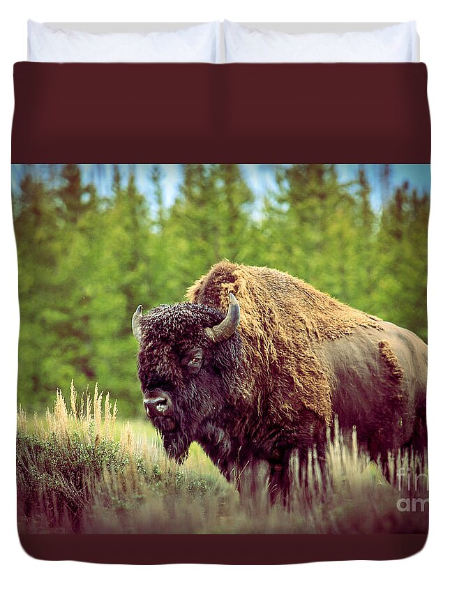 Mammal Duvet Cover featuring the photograph Big Daddy by Robert Bales