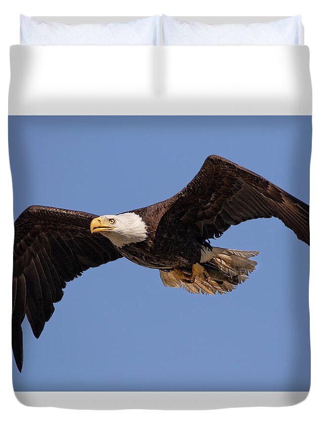 Bald Eagle Duvet Cover featuring the photograph Big Eagle by Beth Sargent