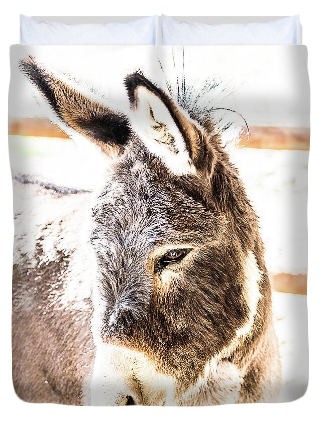 Donkey Duvet Cover featuring the photograph Big Ears by Jennifer Grossnickle