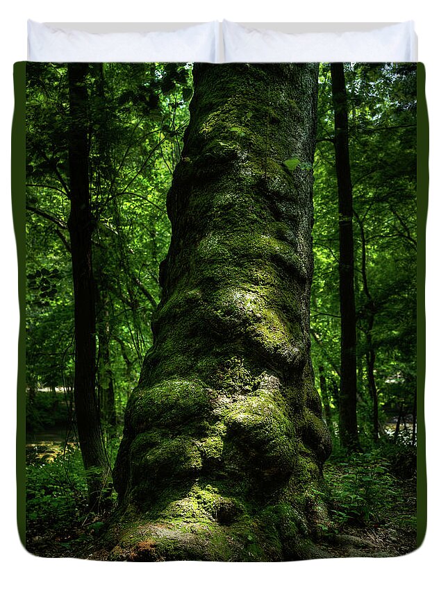 Maryland Duvet Cover featuring the photograph Big Moody Tree in Forest by Dennis Dame
