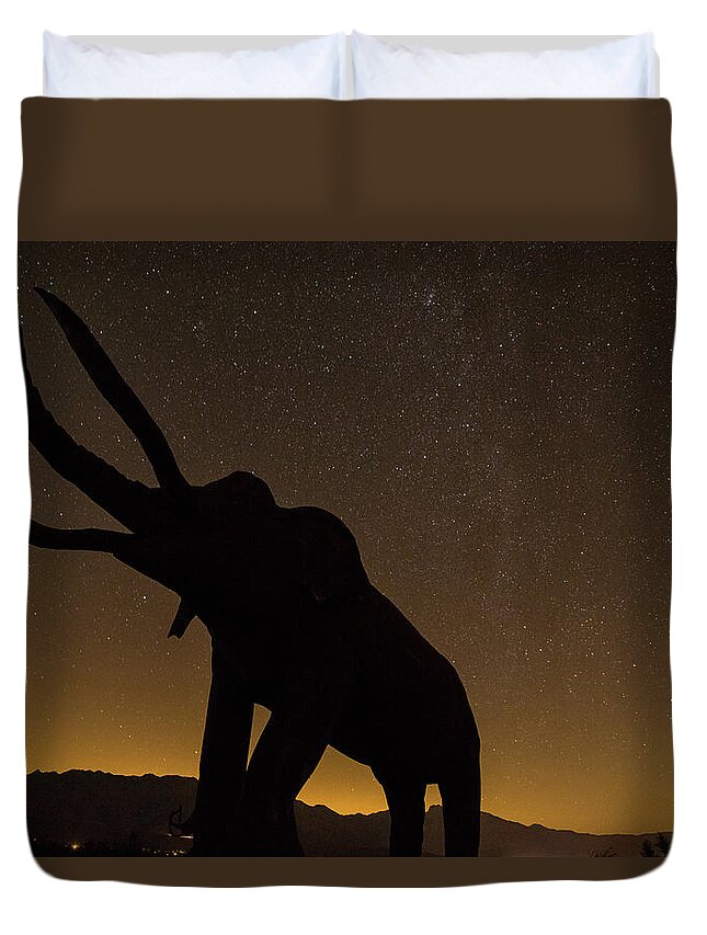 Anza Borrego Sculptures Duvet Cover featuring the photograph Big things by Kunal Mehra