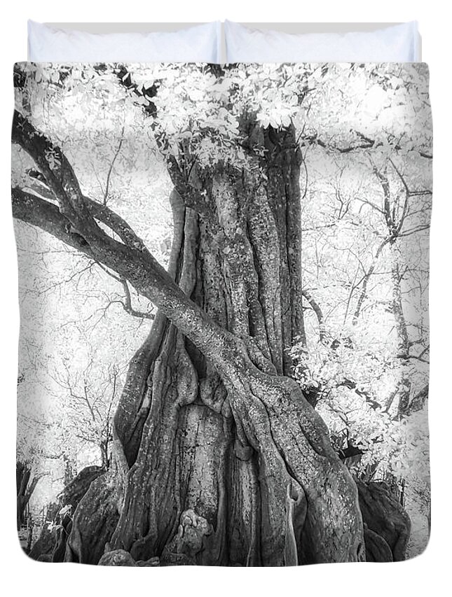 Landscape Duvet Cover featuring the photograph Big Tree by Dianna Lynn Walker