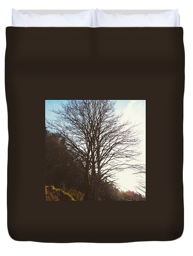 Tree Duvet Cover featuring the photograph Big Fish by Lily Foist
