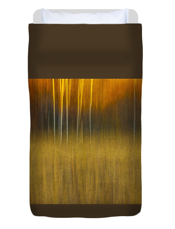 Abstract Duvet Cover featuring the photograph Birch At The Edge Of The Field 2015 by Thomas Young