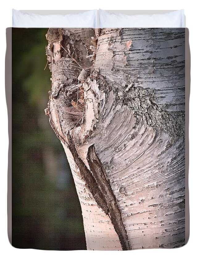 Birch Duvet Cover featuring the photograph Birch Knot Sunset by Peter J Sucy