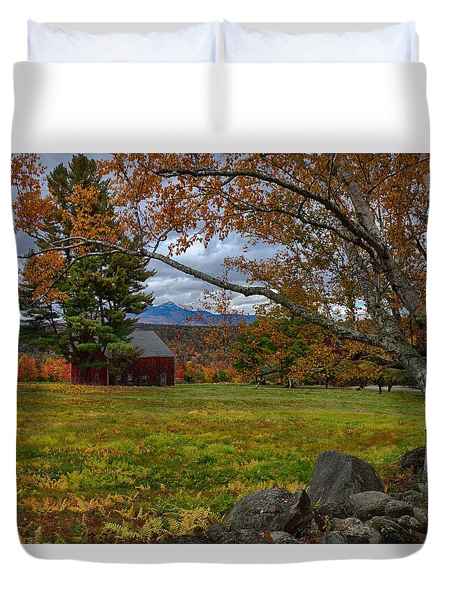 Chocorua Fall Colors Duvet Cover featuring the photograph Birch over the mountains by Jeff Folger