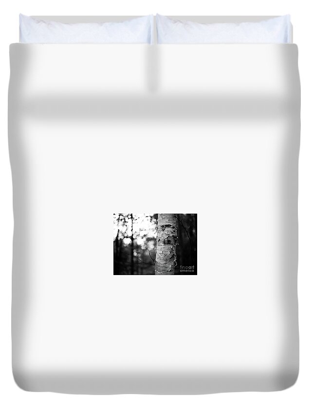 Birch Duvet Cover featuring the photograph Birch Tree by Shawn Smith