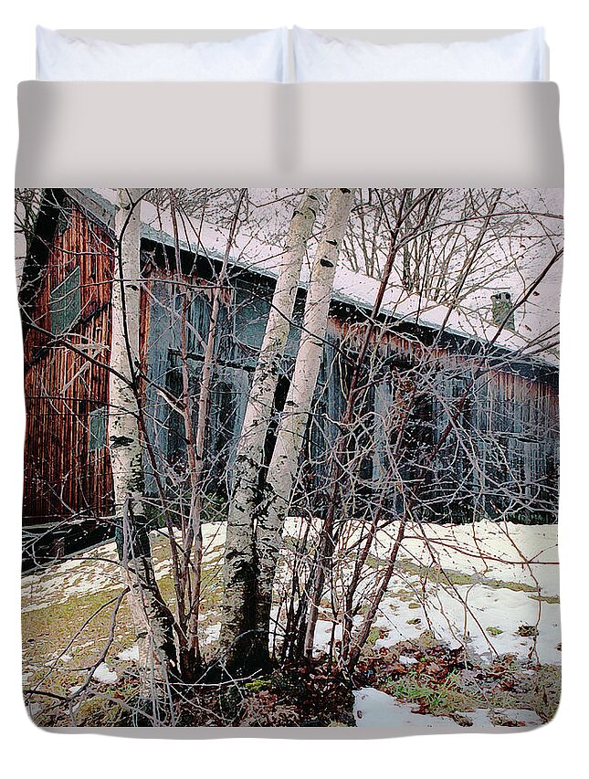 Nyoda Girls Camp Duvet Cover featuring the digital art Birch Trees with Antique Barn, Winter Dusk at Camp Nyoda 1988 by Kathy Anselmo