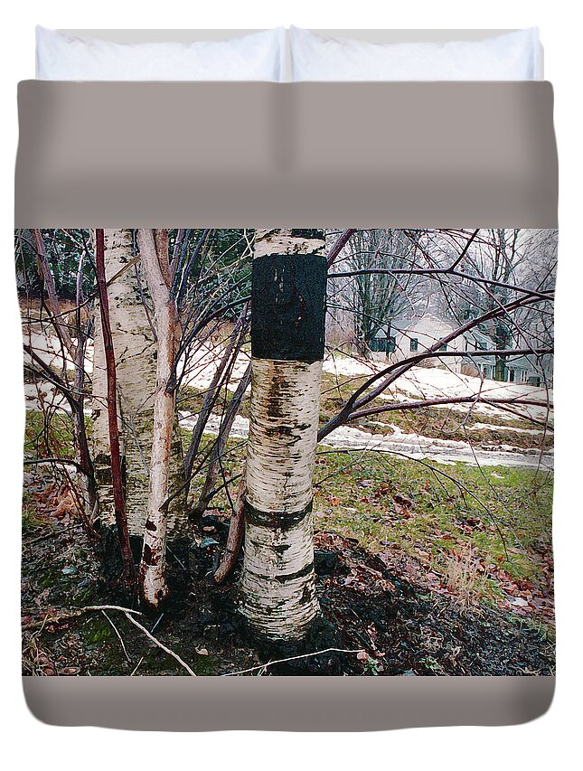 Nyoda Girls Camp Duvet Cover featuring the digital art Birch Trees with House, Winter at Camp Nyoda 1988 by Kathy Anselmo