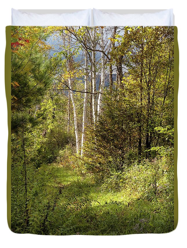 Autumn Birches Duvet Cover featuring the photograph Birches On An Autumn Path by Tom Singleton