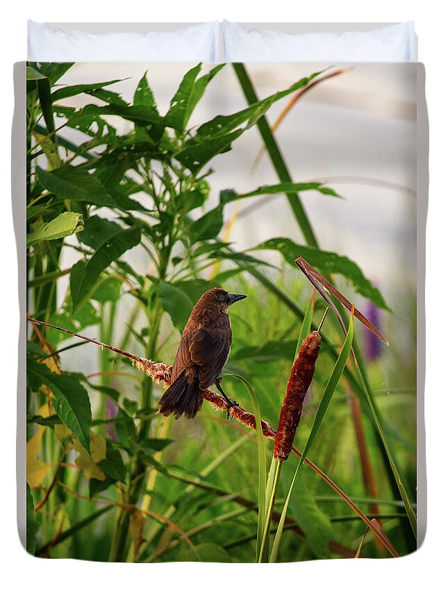 Bird Duvet Cover featuring the photograph Bird In Cattails by Arthur Dodd