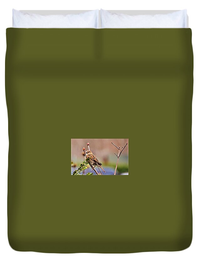 Bird Duvet Cover featuring the photograph Bird in the Cold by Chuck Brown
