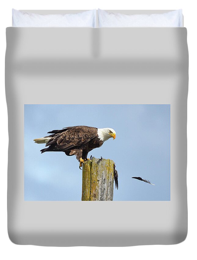 Eagle Duvet Cover featuring the photograph Bird Of A Feather by Joy McAdams