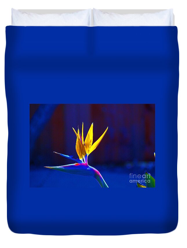  Duvet Cover featuring the photograph Bird of Paradise by David Frederick