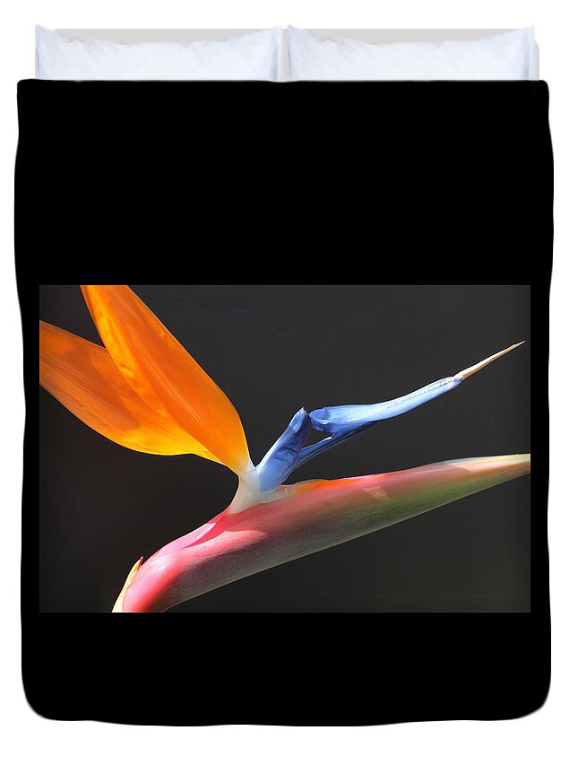 Flower Duvet Cover featuring the photograph Bird of Paradise by Tammy Pool