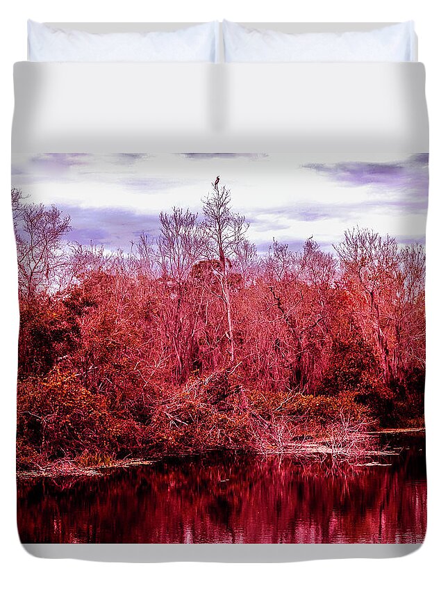 Bird Duvet Cover featuring the photograph Bird Out On A Limb 2 by Madeline Ellis