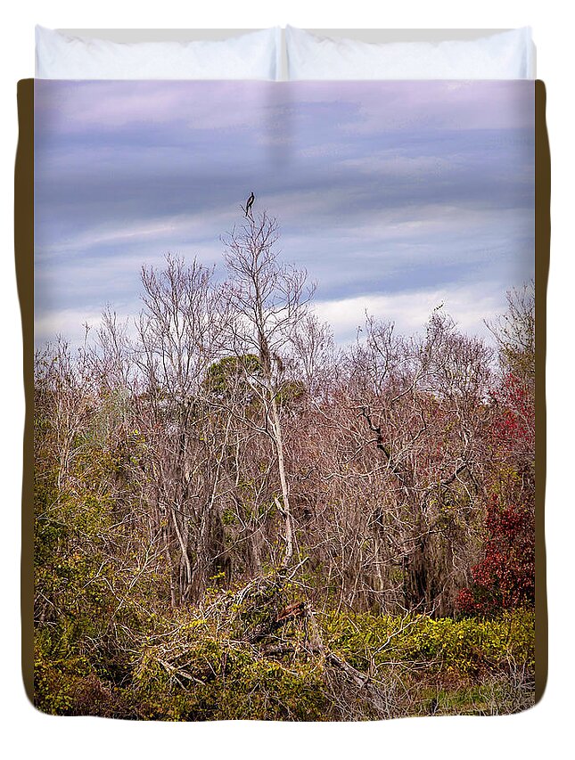 Bird Duvet Cover featuring the photograph Bird Out On A Limb 3 by Madeline Ellis