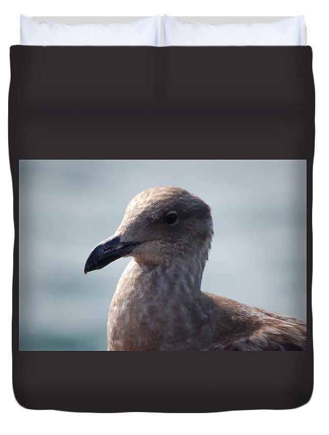 California Gull Duvet Cover featuring the photograph Bird portrait by Maria Aduke Alabi