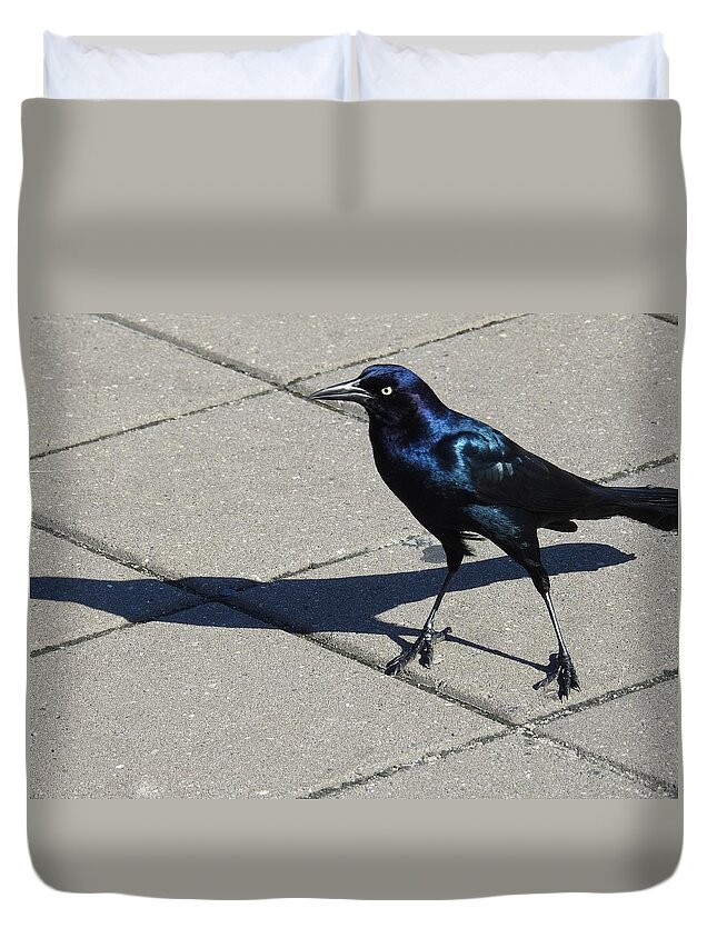 Grackle Duvet Cover featuring the photograph Bird Shadowing by Jan Gelders