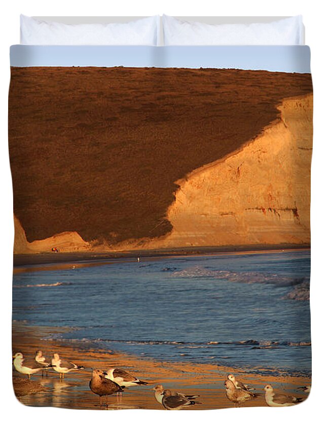 Drakes Bay Duvet Cover featuring the photograph Birds along the Point Reyes National Seashore Marin County Cal by Wernher Krutein