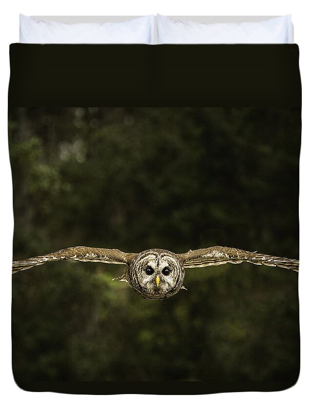 Owl Duvet Cover featuring the photograph Birds Eye View by Christy Cox