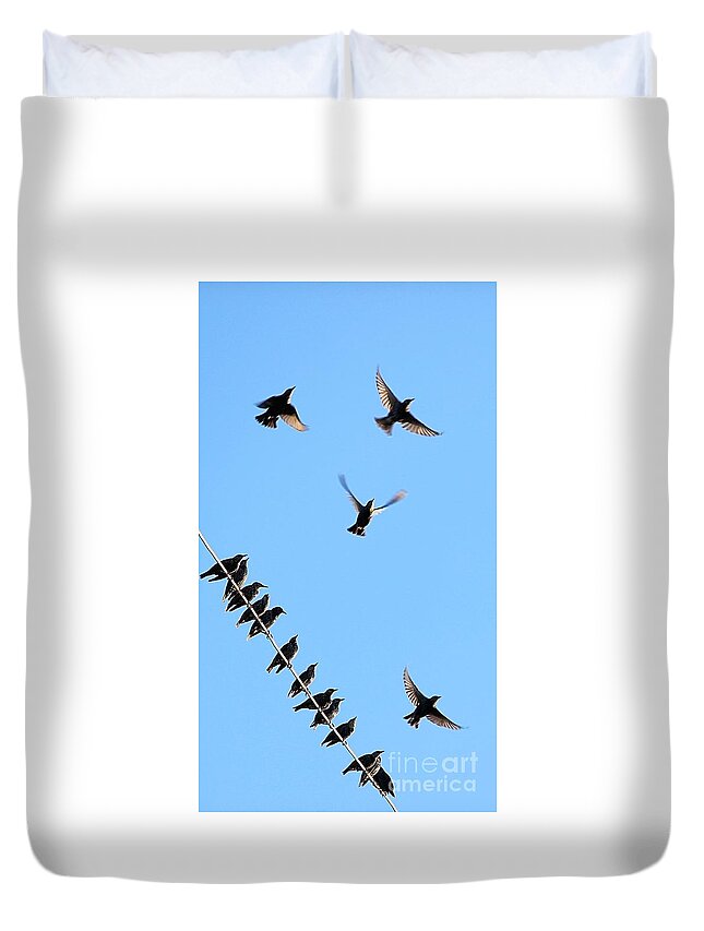 Birds Duvet Cover featuring the photograph Birds in the Sky by Kim Yarbrough
