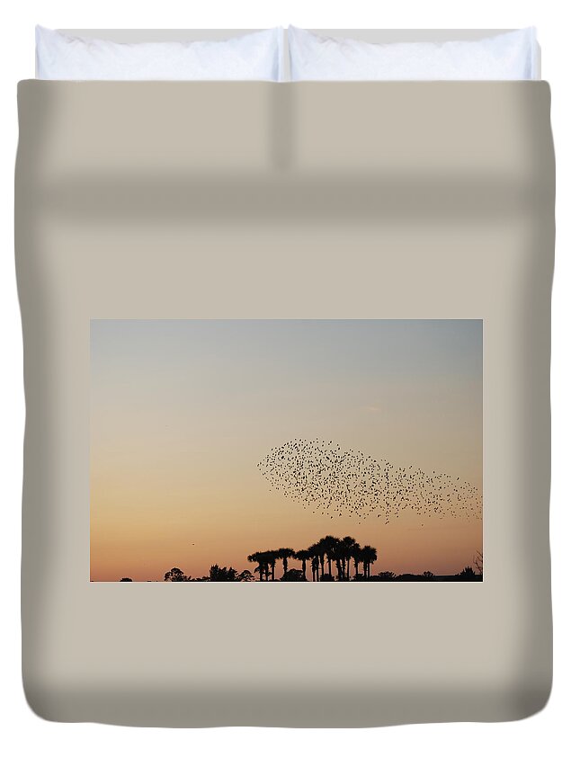Nature Duvet Cover featuring the photograph Birds In The Sun by Rob Hans