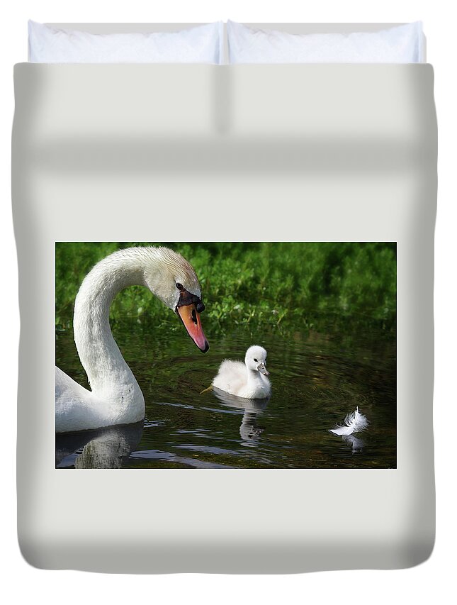 Mute Swans Duvet Cover featuring the photograph Birds Of Feather... by Evelyn Garcia