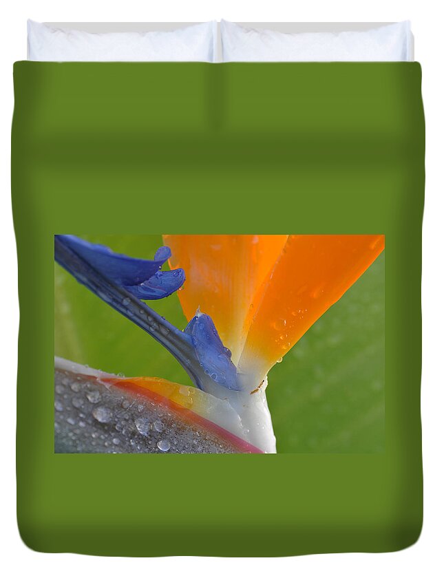 Birds Of Paradise Duvet Cover featuring the photograph Birds of Paradise by Kelly Wade