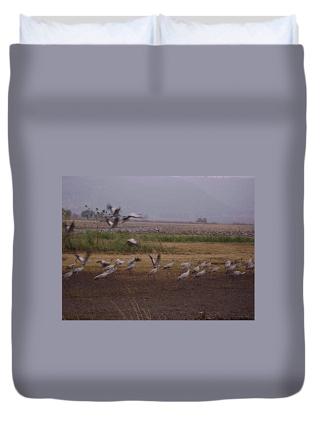 Birds Duvet Cover featuring the photograph Birds4 by Moshe Harboun