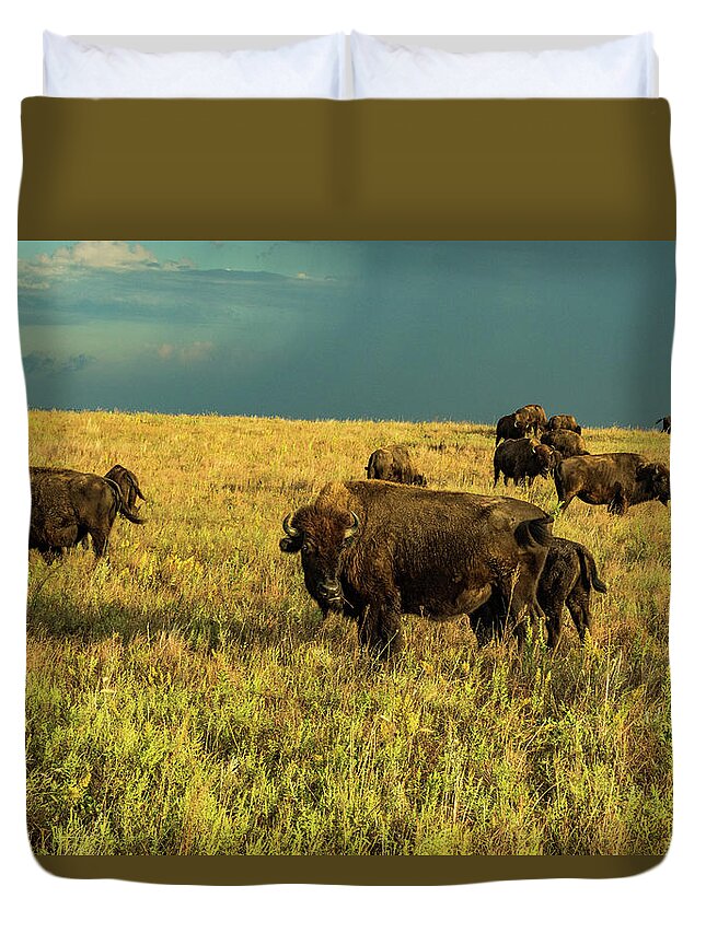 Jay Stockhaus Duvet Cover featuring the photograph Bison and Stormy Weather. by Jay Stockhaus