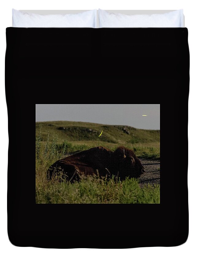 Kansas Duvet Cover featuring the photograph Bison by moonlight 03 by Rob Graham