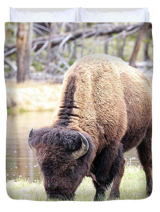 Bison Duvet Cover featuring the photograph Bison By Water by Steve McKinzie