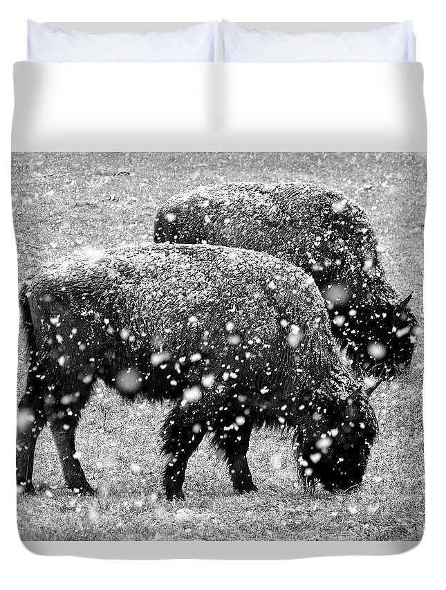 Bison Duvet Cover featuring the photograph Bison in Snow by JustJeffAz Photography