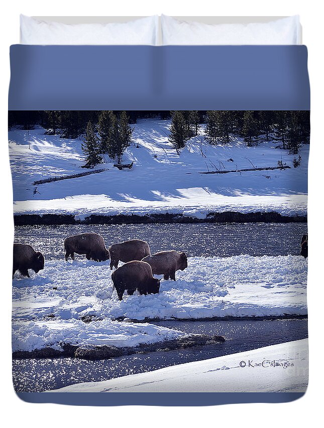 Bison Duvet Cover featuring the photograph Bison on River Strand Landscape by Kae Cheatham