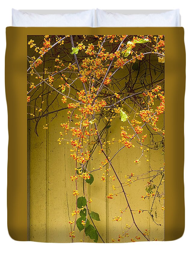 Cone Flowers Duvet Cover featuring the photograph Bittersweet Vine by Tom Singleton