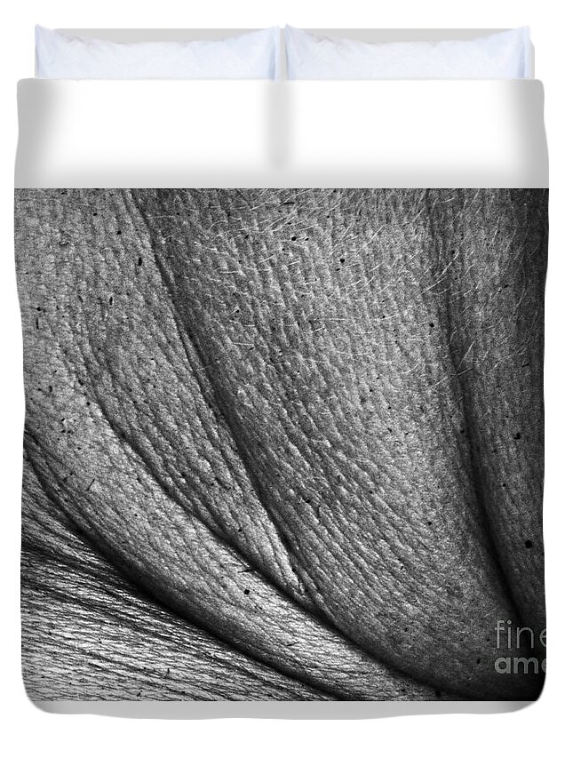 Black And White Duvet Cover featuring the photograph Black and White Curved Angles by David Frederick