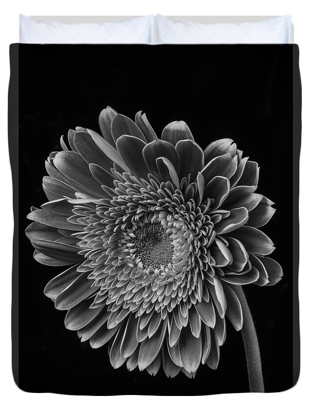 Black And White Duvet Cover featuring the photograph Black And White Gerbera Daisy by Garry Gay