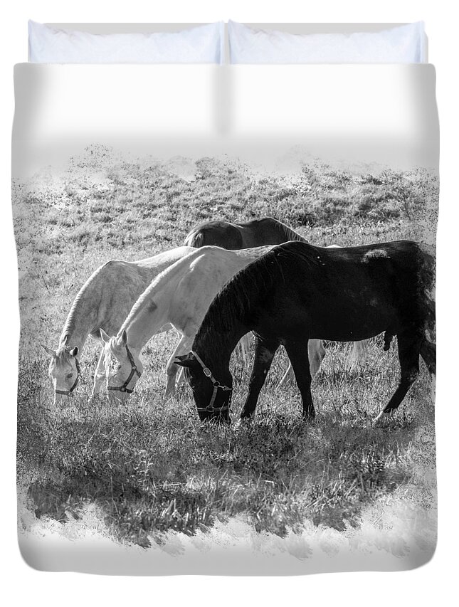 Horses Duvet Cover featuring the photograph Black and White Horse Trio Grazing by Eleanor Abramson