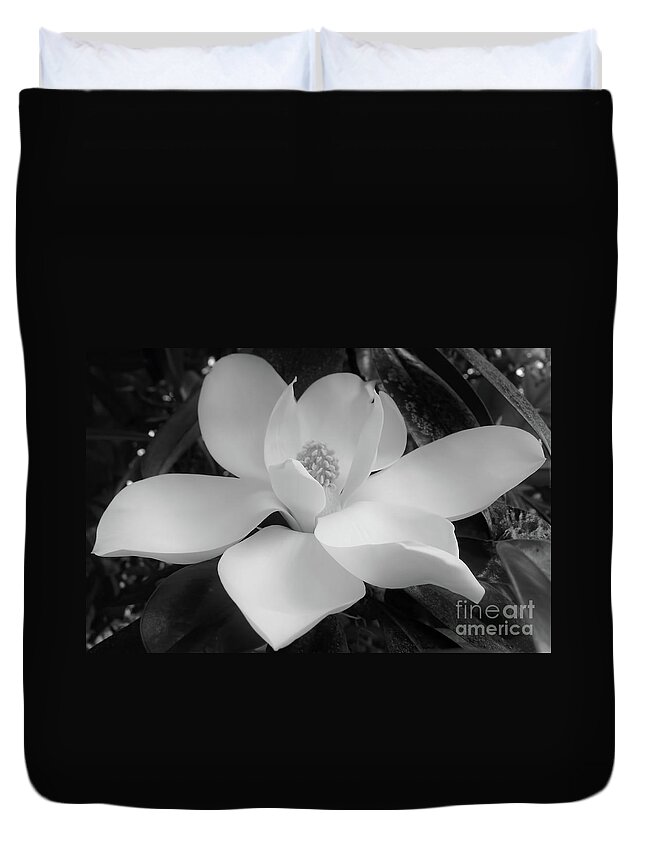 Magnolia Duvet Cover featuring the photograph Black and White Magnolia Blossom by D Hackett