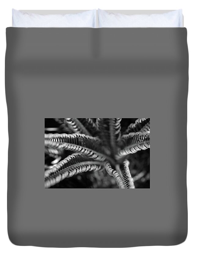 Palm Fronds Duvet Cover featuring the photograph Black and White Palm Abstract 3624 BW_2 by Steven Ward