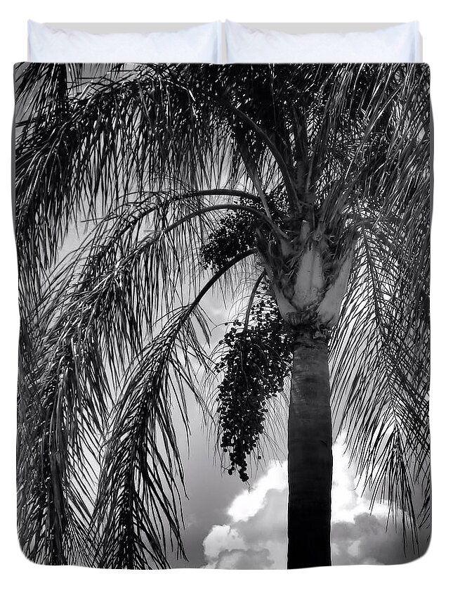 Palm Tree Duvet Cover featuring the photograph Black and White Palm Tree by Rosalie Scanlon