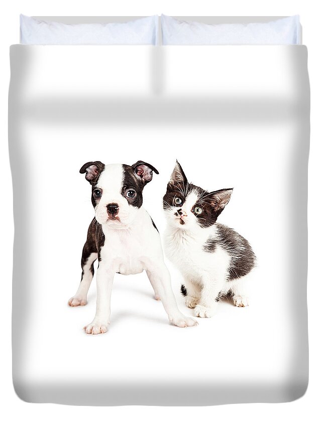 Adorable Duvet Cover featuring the photograph Black and White Puppy and Kitten Together by Good Focused