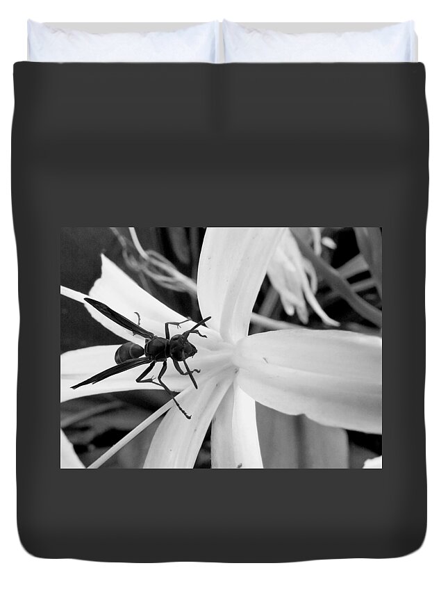 Wasp Duvet Cover featuring the photograph Black and White Red Paper Wasp and Spider Lily by Christopher Mercer