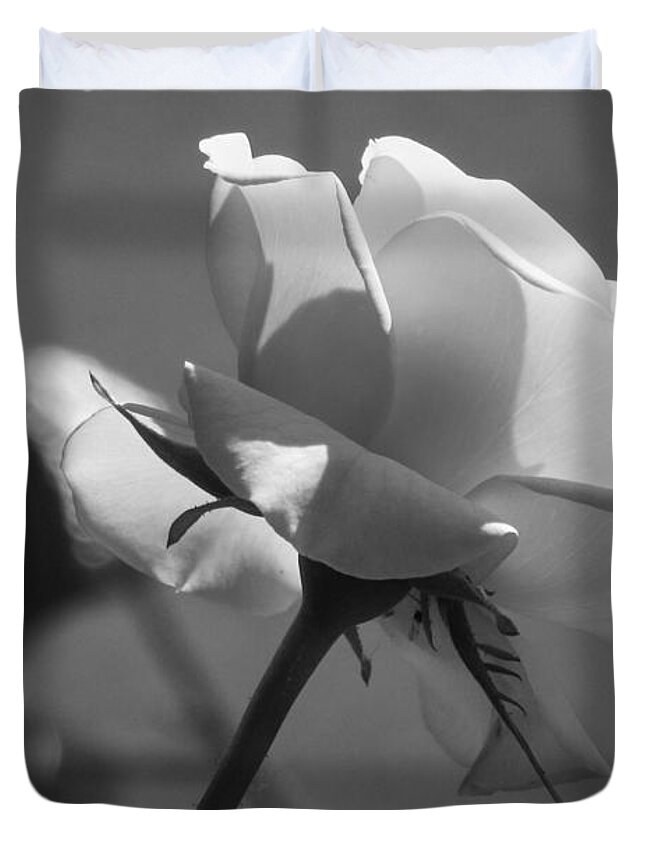 Rose Duvet Cover featuring the photograph Black and White Rose by Cesar Vieira