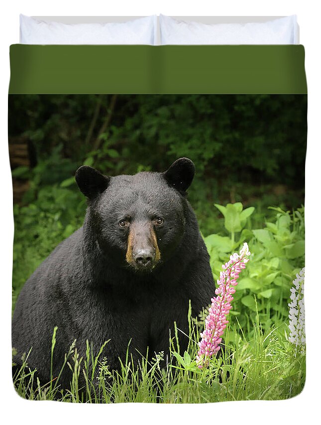 Bear Duvet Cover featuring the photograph Black Bear and Lupines by Duane Cross